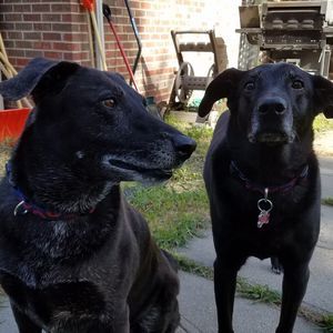 Meet your Posher, Matt